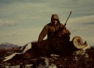 carlson's-37