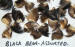 ASSORTED BLACK BEAR CLAWS